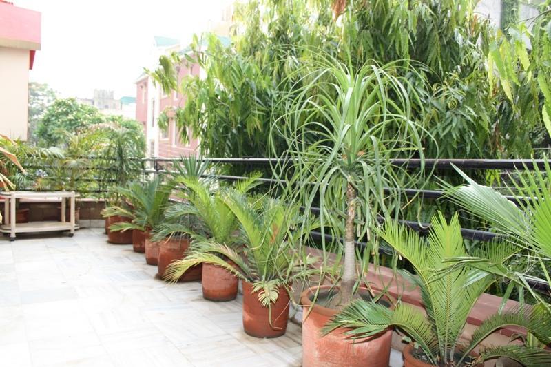 Jeraths Villa Bed And Breakfast Delhi  Eksteriør billede